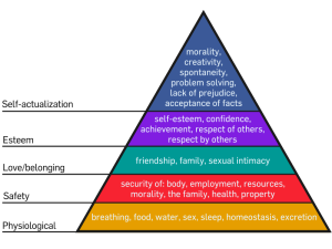 800px-Maslow's_Hierarchy_of_Needs.svg